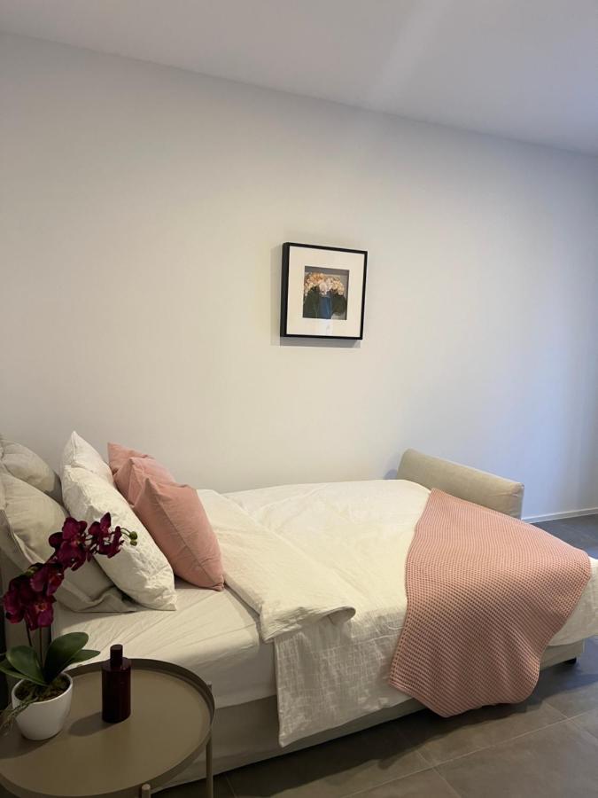 Apartments Lily リュブリャナ エクステリア 写真